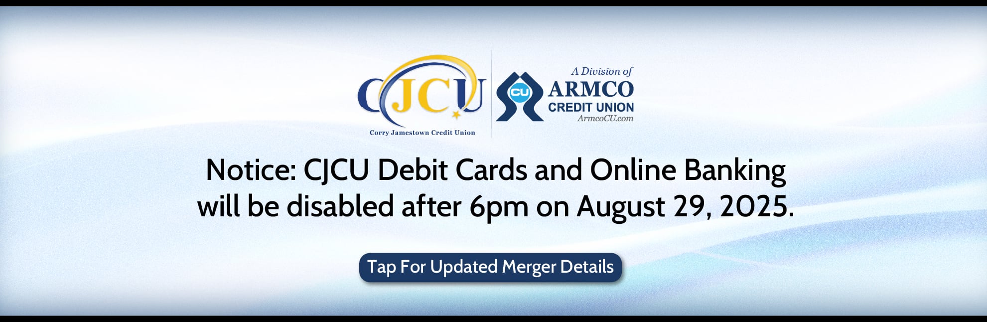 Merger Information